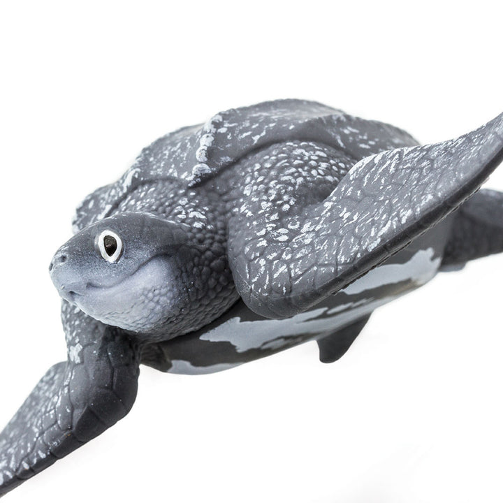 Safari - Leatherback Sea Turtle