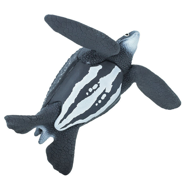 Safari - Leatherback Sea Turtle
