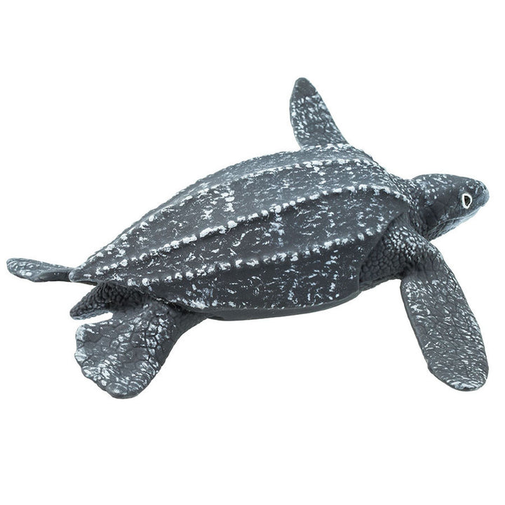 Safari - Leatherback Sea Turtle