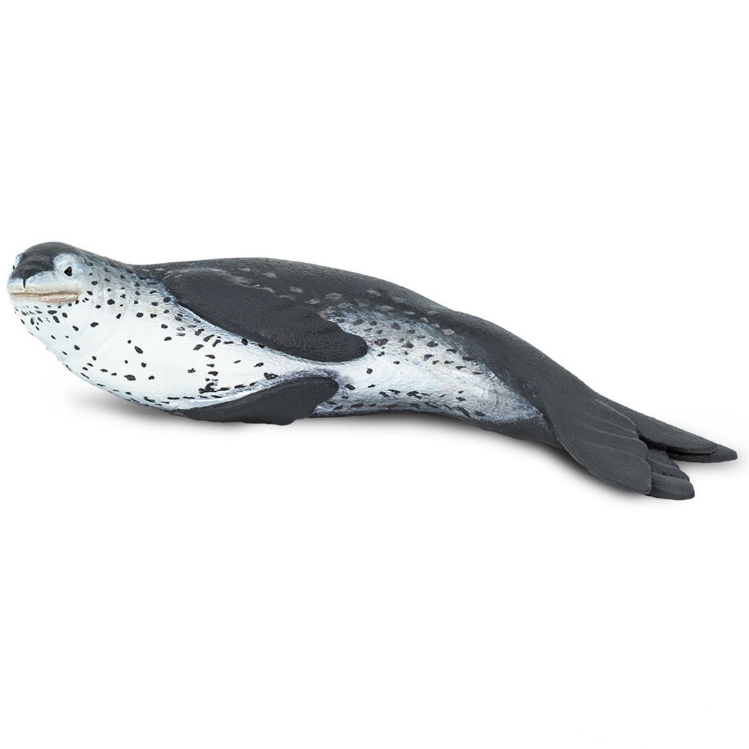 Safari - Leopard Seal