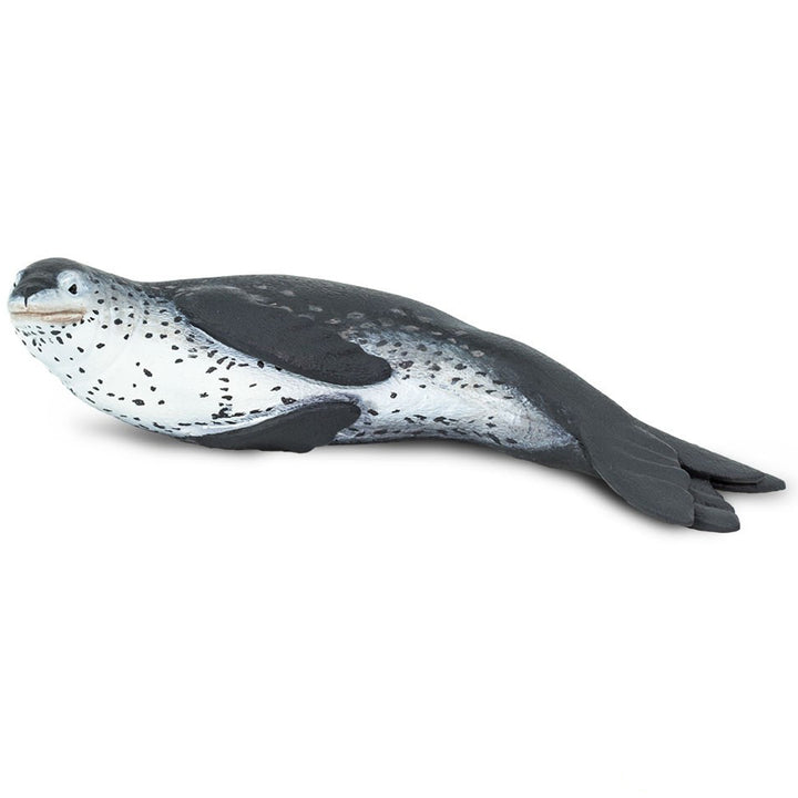 Safari - Leopard Seal