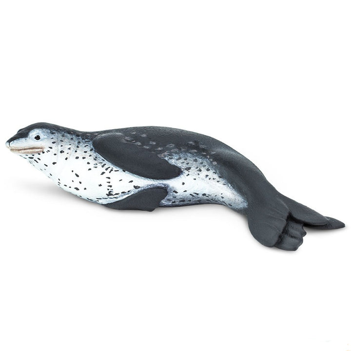 Safari - Leopard Seal