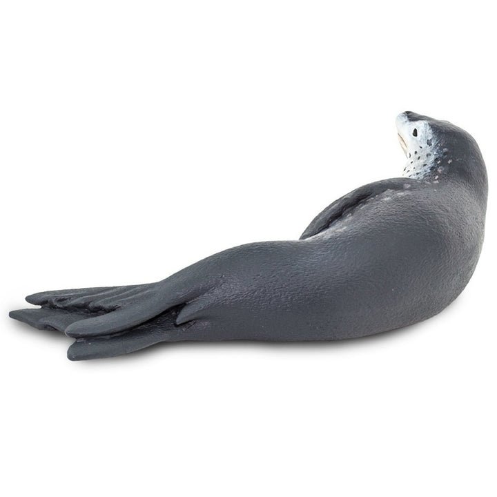 Safari - Leopard Seal