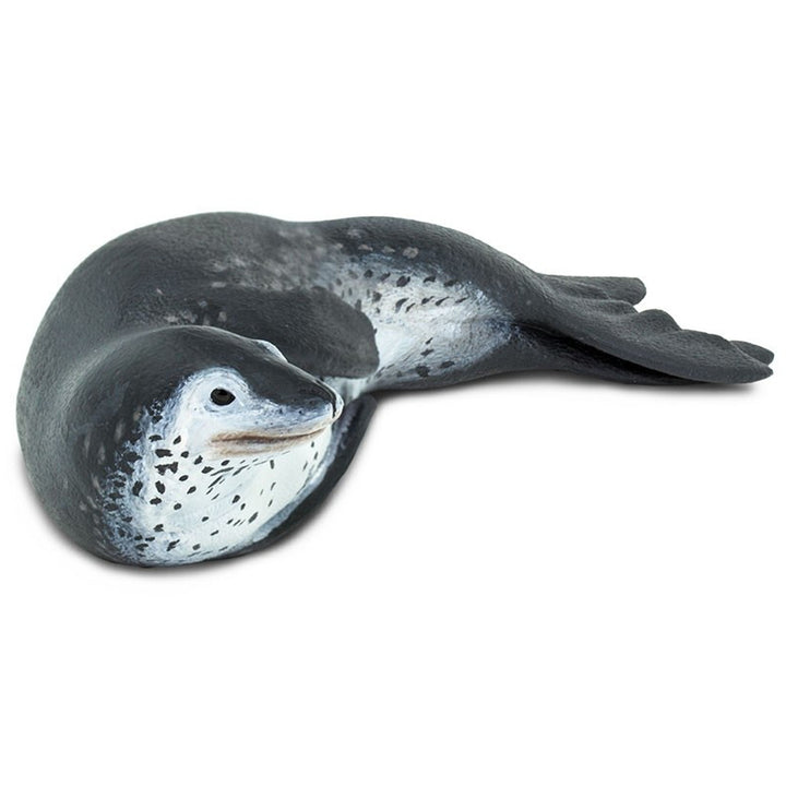 Safari - Leopard Seal