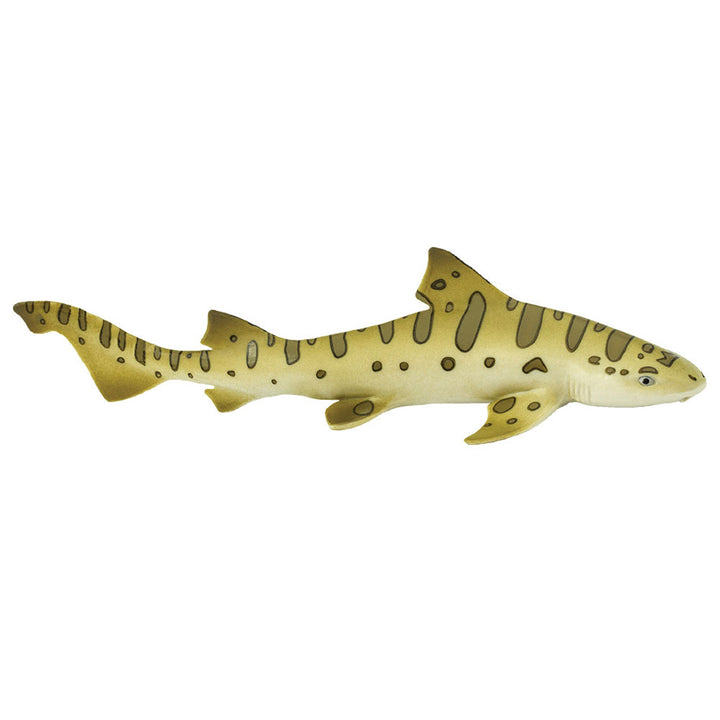 Safari - Leopard Shark