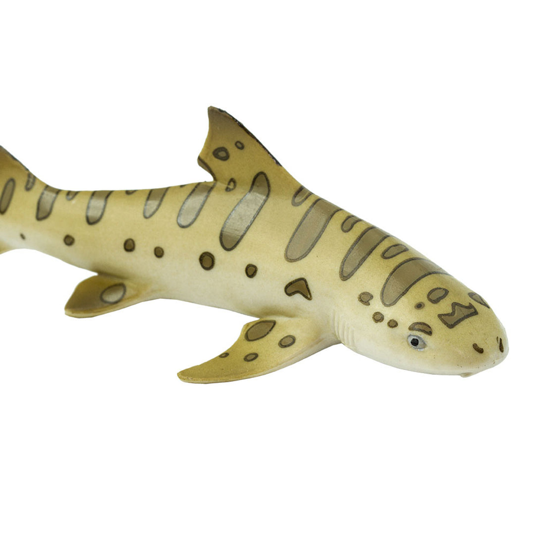Safari - Leopard Shark