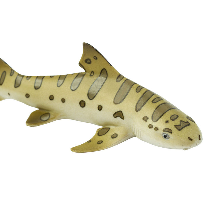 Safari - Leopard Shark