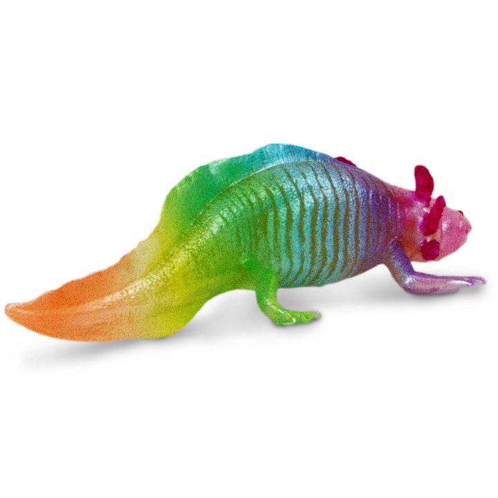 Safari - Rainbow Axolotl