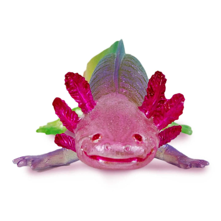 Safari - Rainbow Axolotl