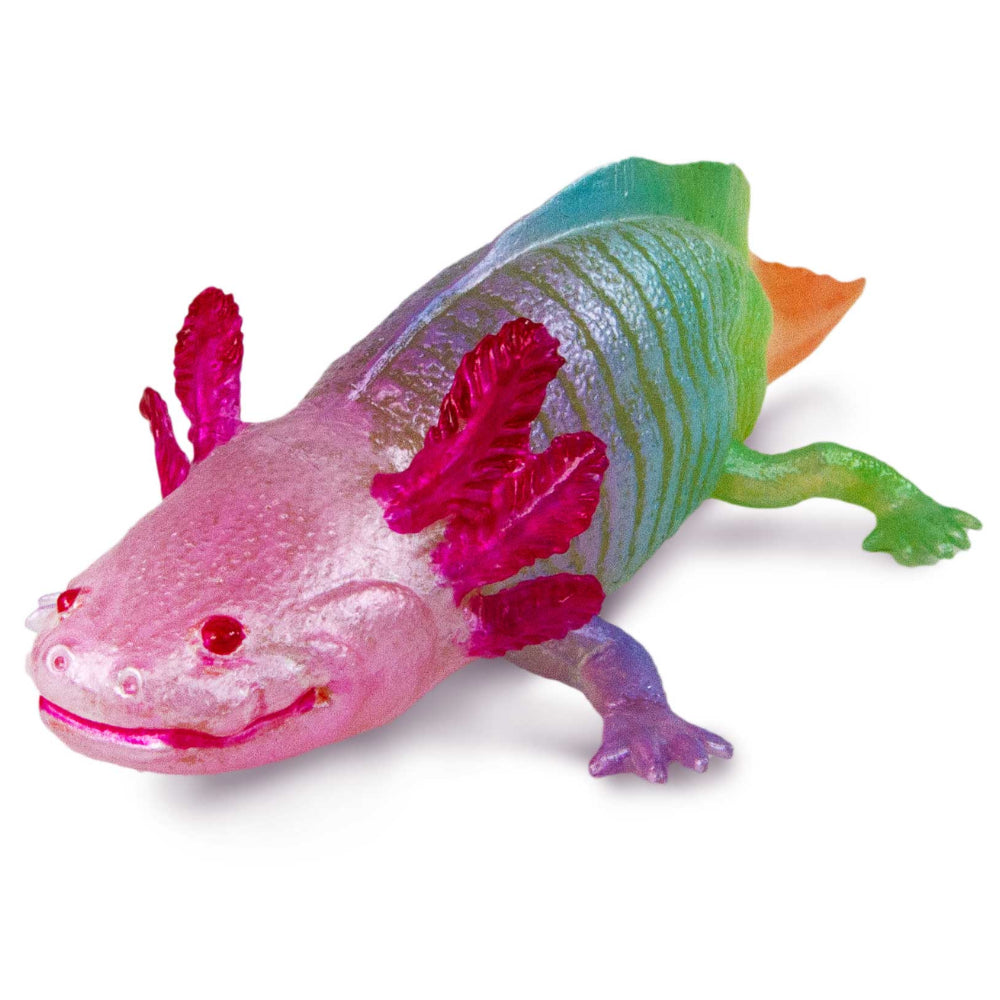 Safari - Rainbow Axolotl