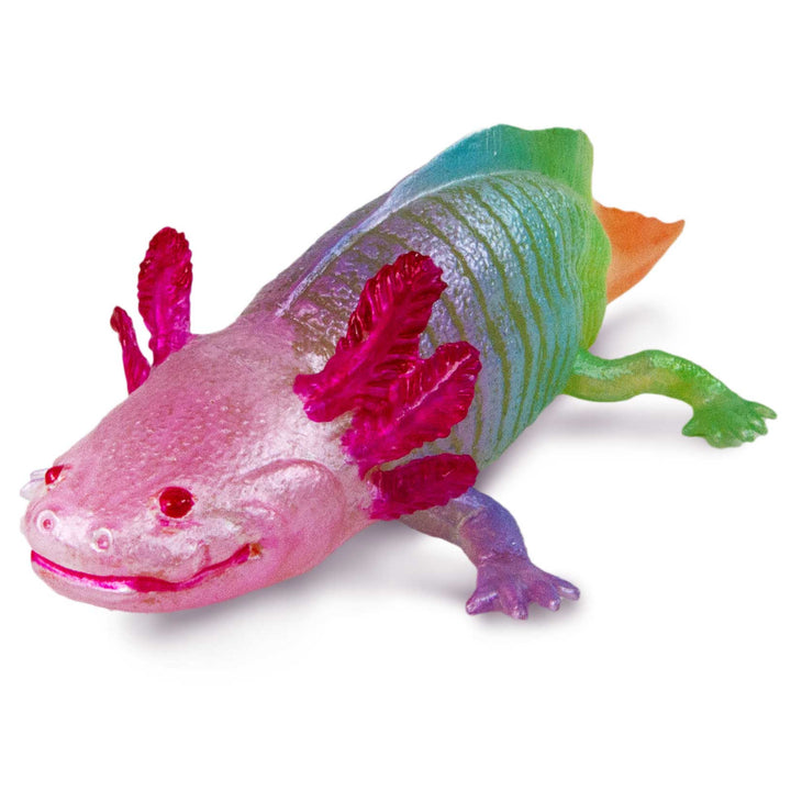 Safari - Rainbow Axolotl