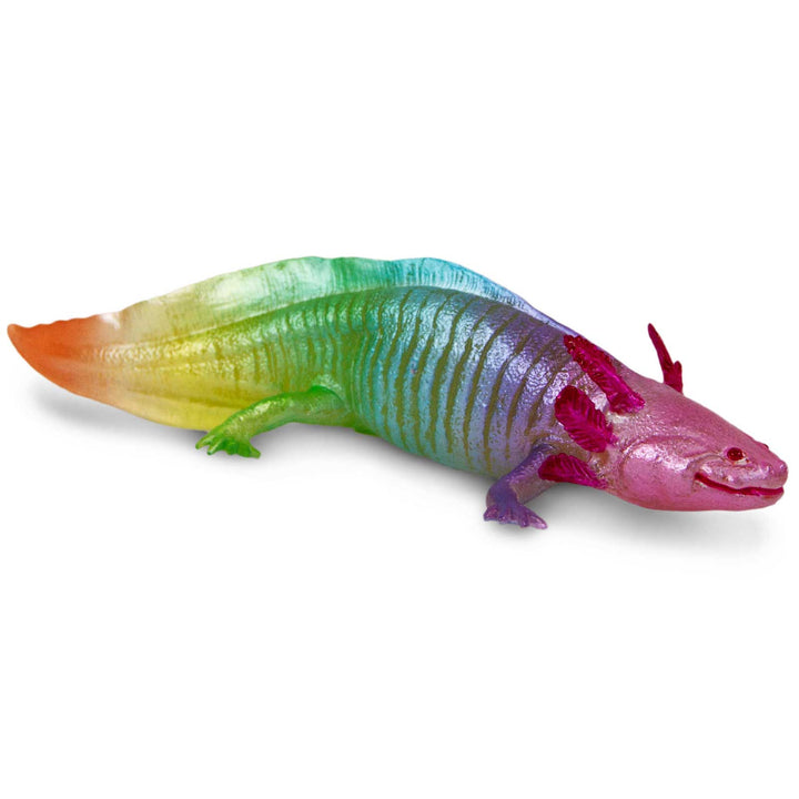 Safari - Rainbow Axolotl