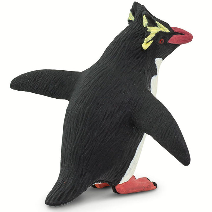 Safari - Rockhopper Penguin