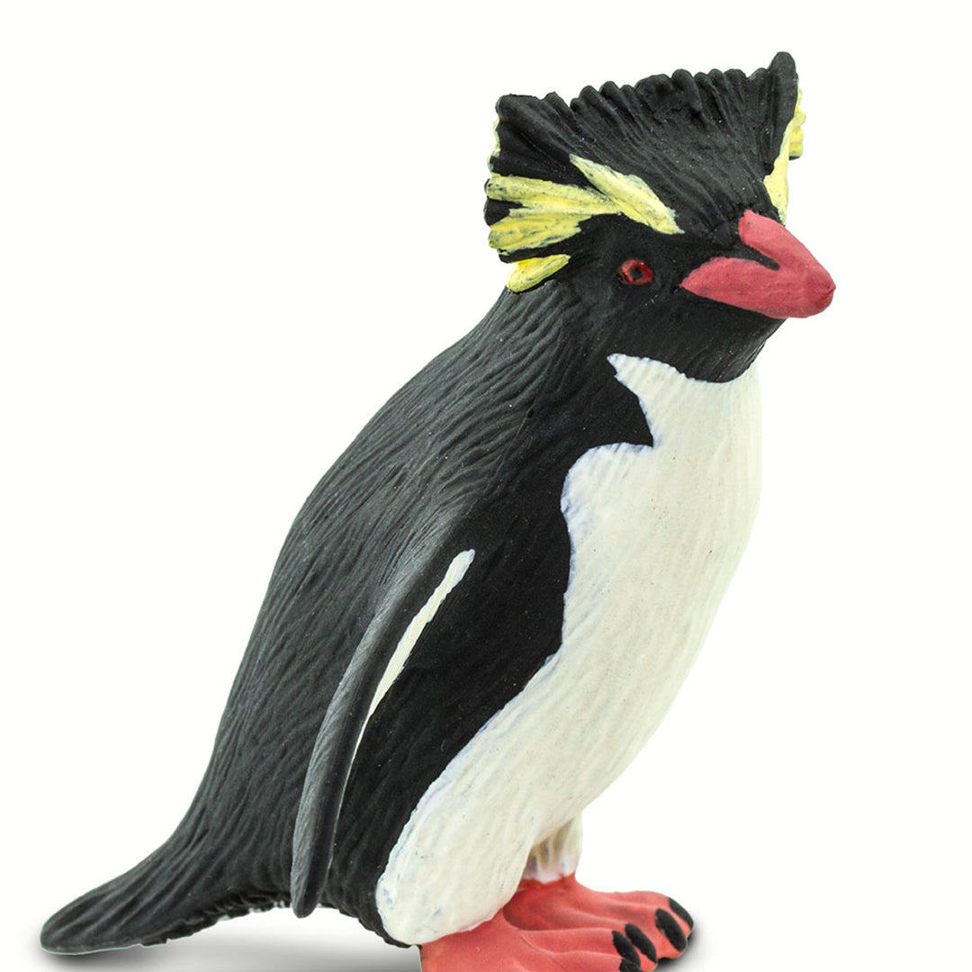 Safari - Rockhopper Penguin