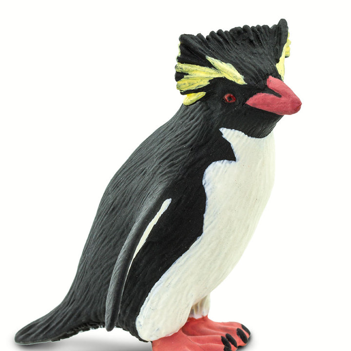 Safari - Rockhopper Penguin