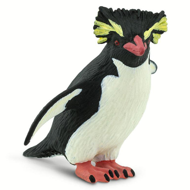 Safari - Rockhopper Penguin