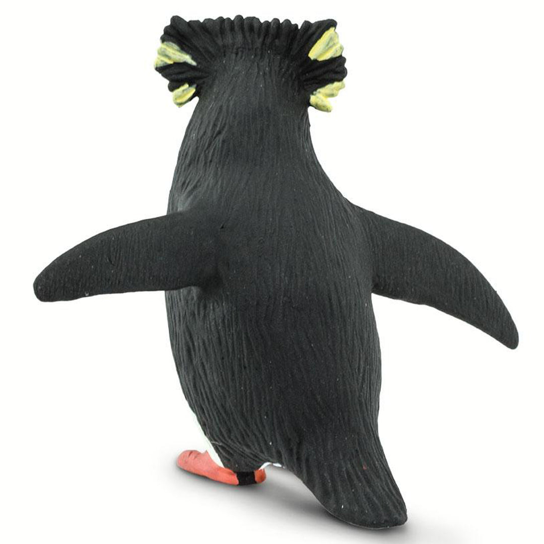 Safari - Rockhopper Penguin