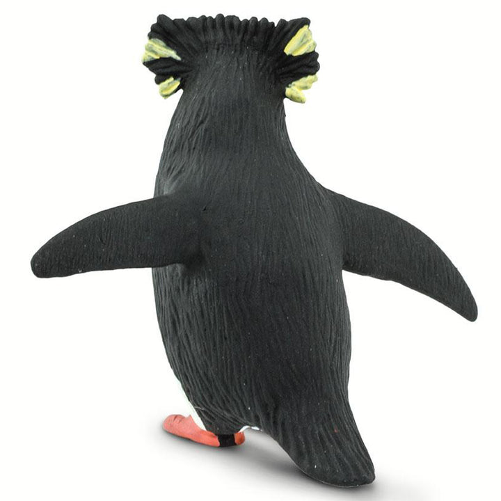 Safari - Rockhopper Penguin