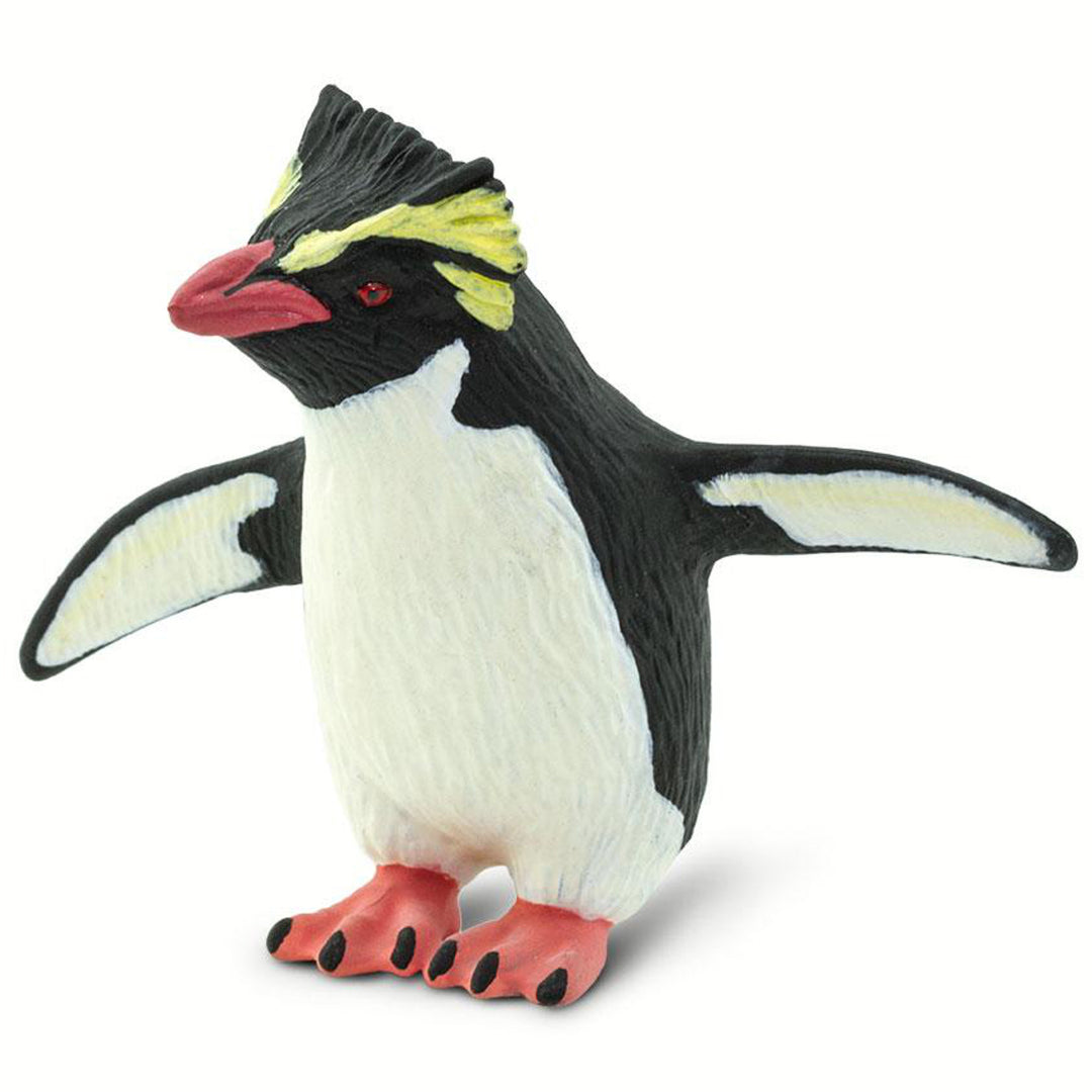Safari - Rockhopper Penguin
