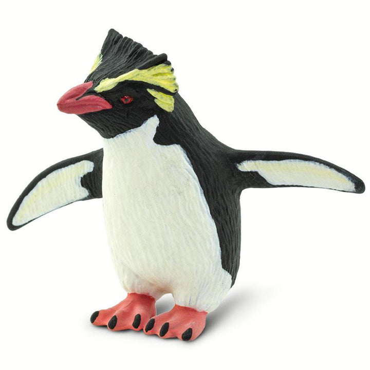 Safari - Rockhopper Penguin