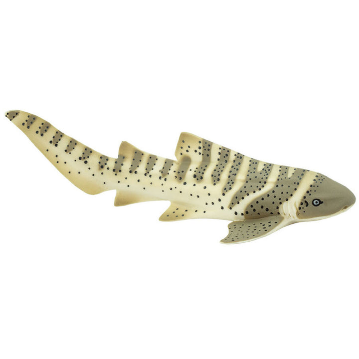 Safari - Zebra Shark