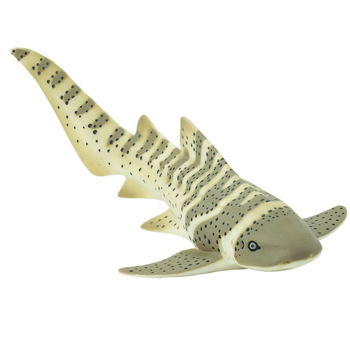 Safari - Zebra Shark