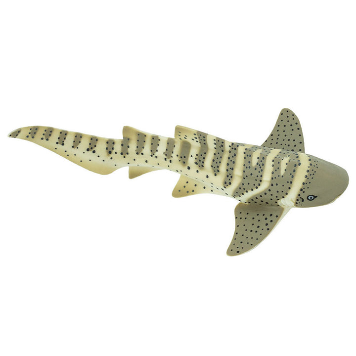 Safari - Zebra Shark
