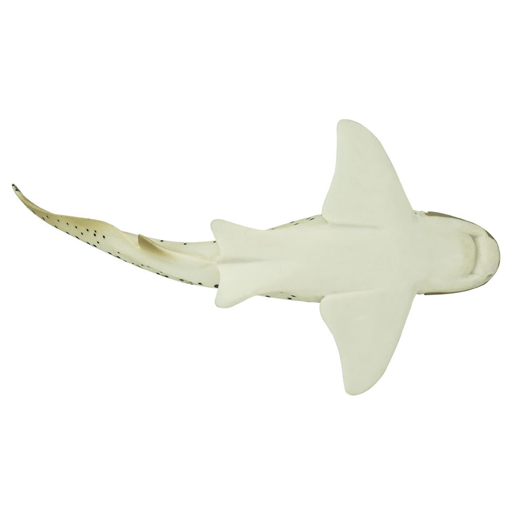 Safari - Zebra Shark
