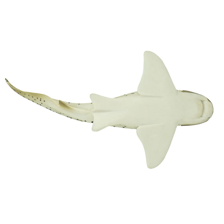 Safari - Zebra Shark