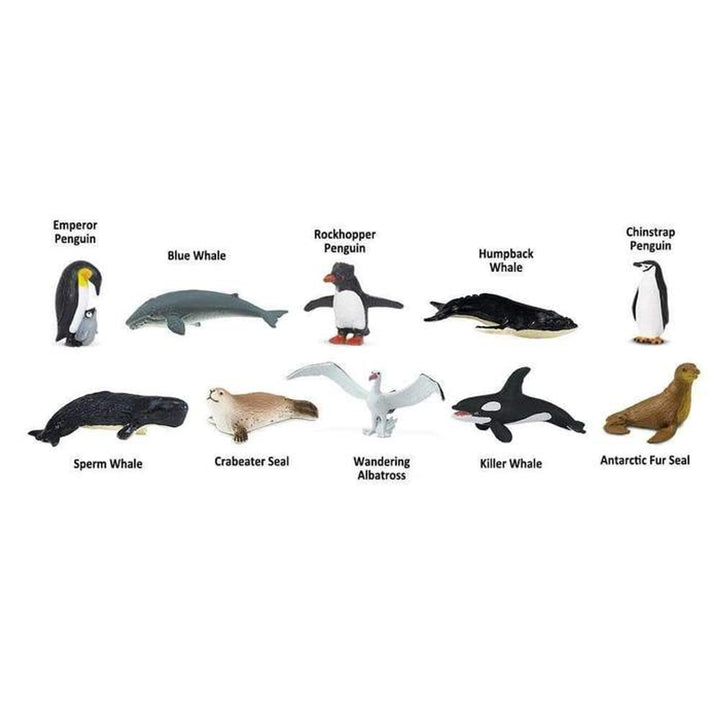 Safari - Antarctica Toob