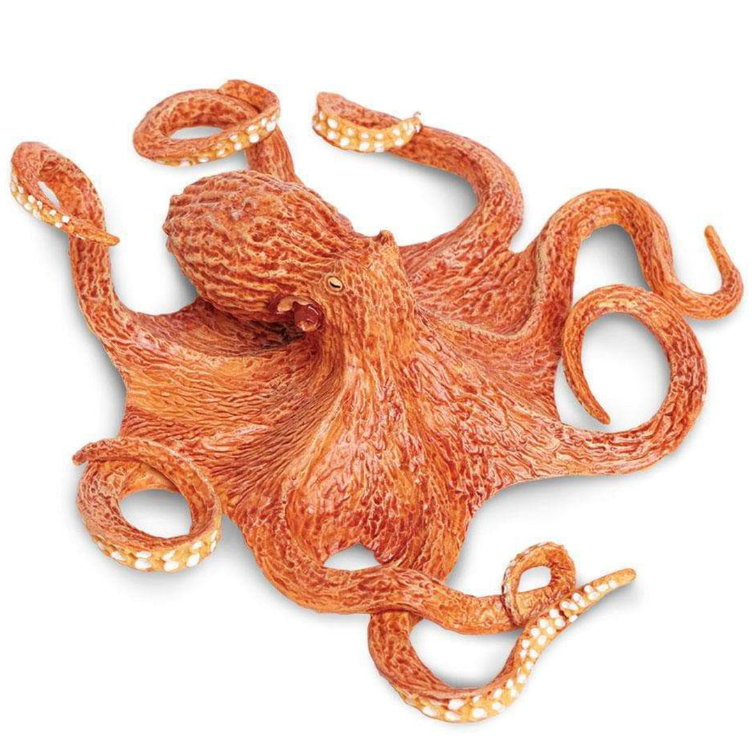 Safari - Giant Pacific Octopus