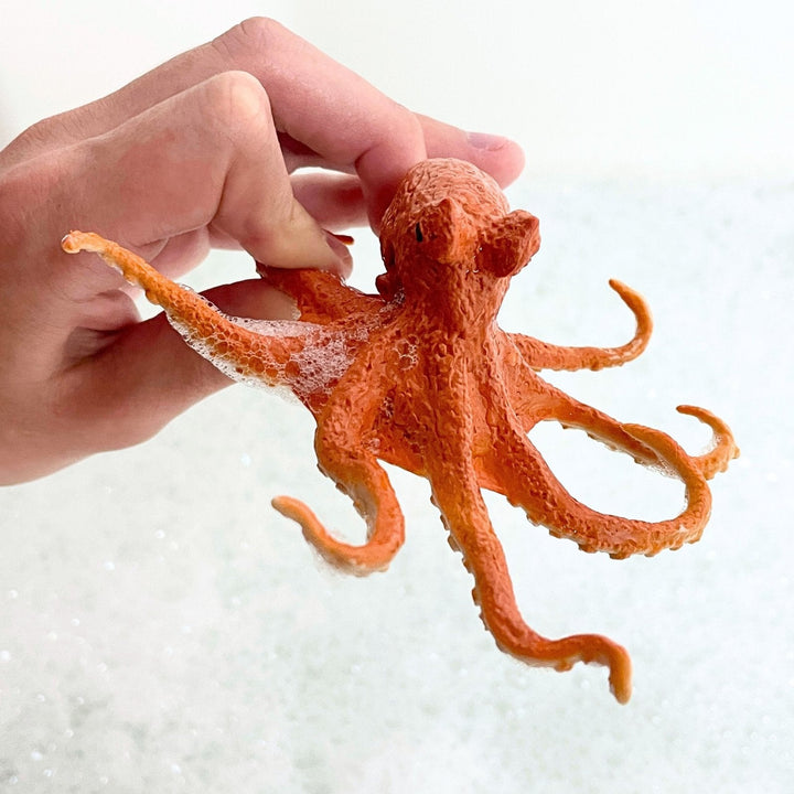 Safari - Octopus