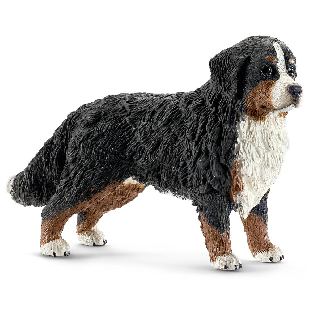 Schleich - Bernese Mountain Dog Female
