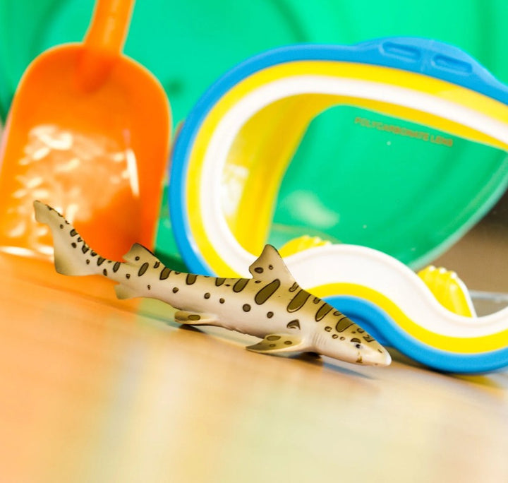 Safari - Leopard Shark