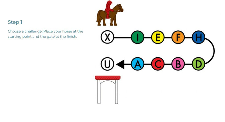 Smart Games - Horse Academy