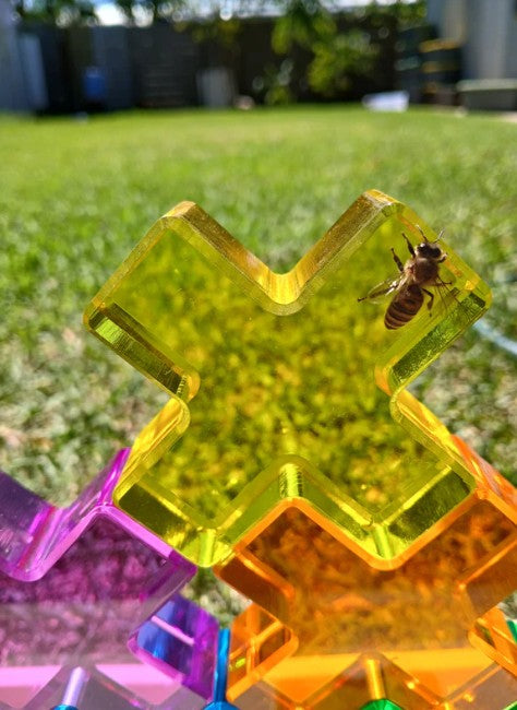 Royal Lucite Crosses Set (6pc)