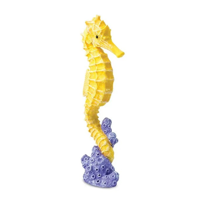 Safari - Seahorse