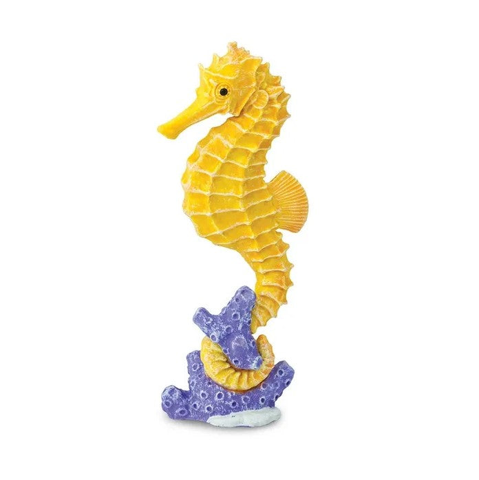 Safari - Seahorse