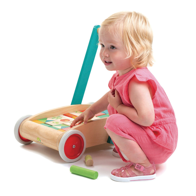 Tender Leaf Toys - Wooden Baby Block Walker