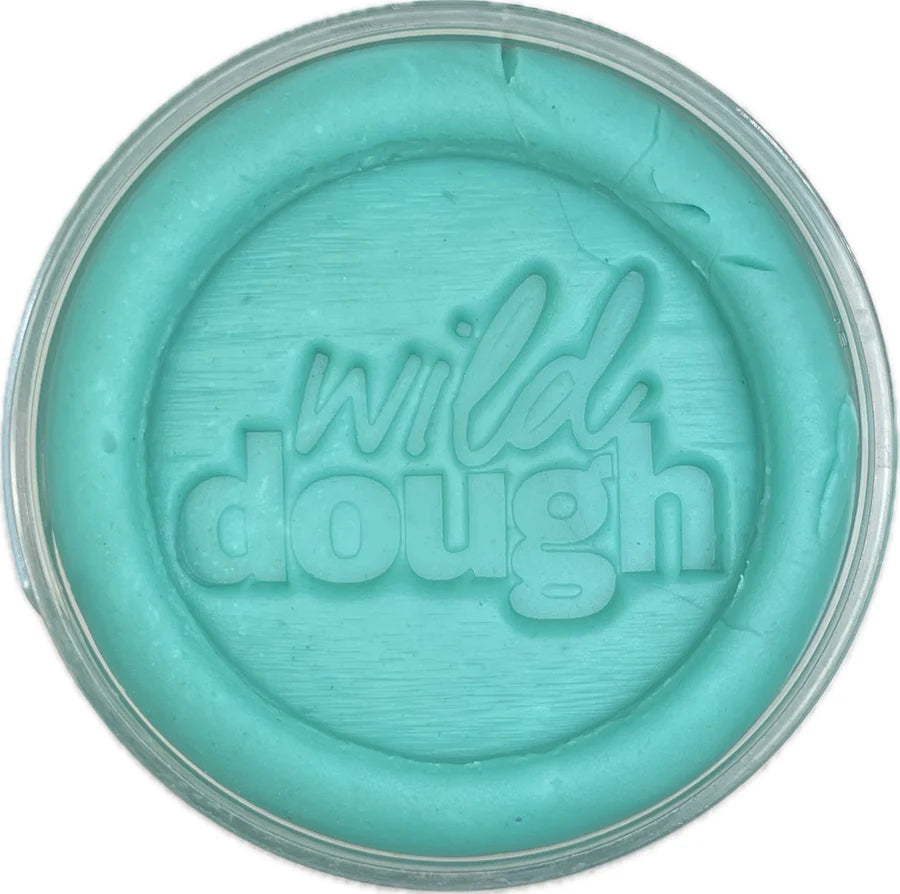 Rainbow Brights Scented Playdough - Sea Glass Teal (280g Jar)