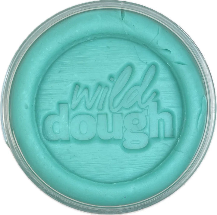 Rainbow Brights Scented Playdough - Sea Glass Teal (280g Jar)