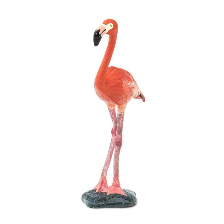 Safari - Flamingo