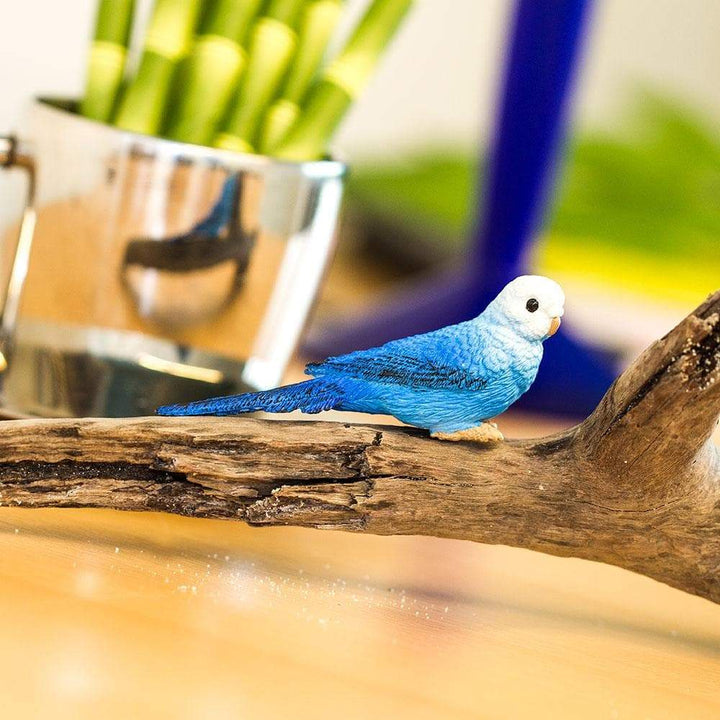 Safari - Blue Budgie