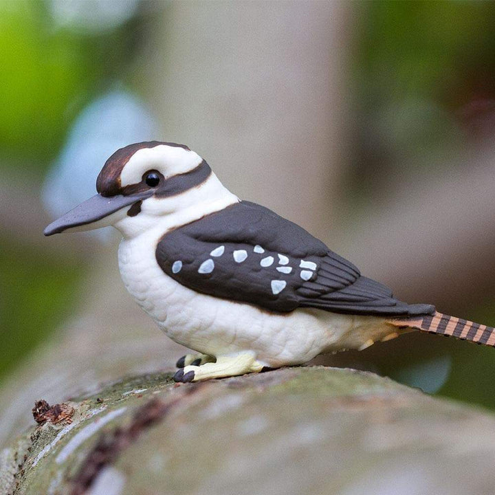 Safari - Kookaburra