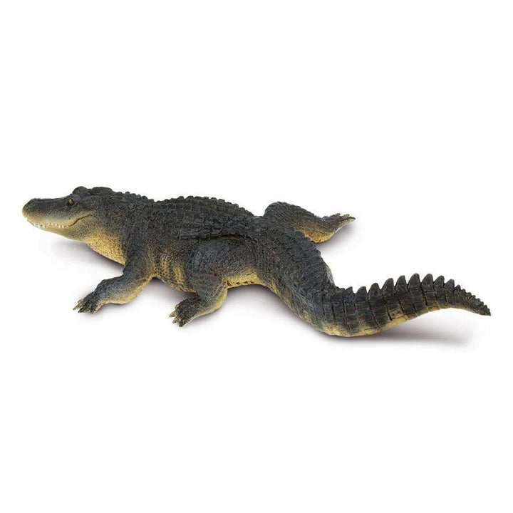 Safari - Alligator (Large)