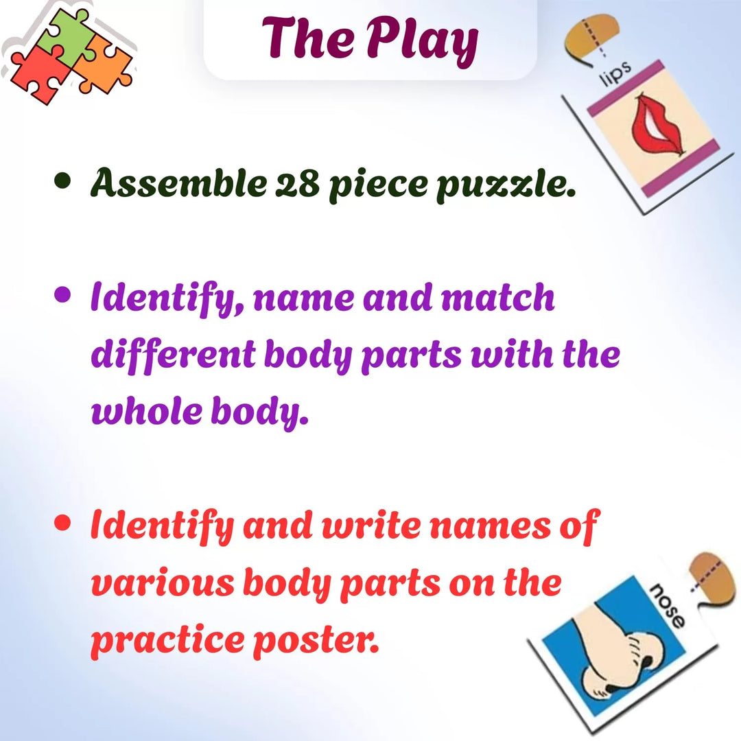 Body Parts - Self Correcting Puzzles
