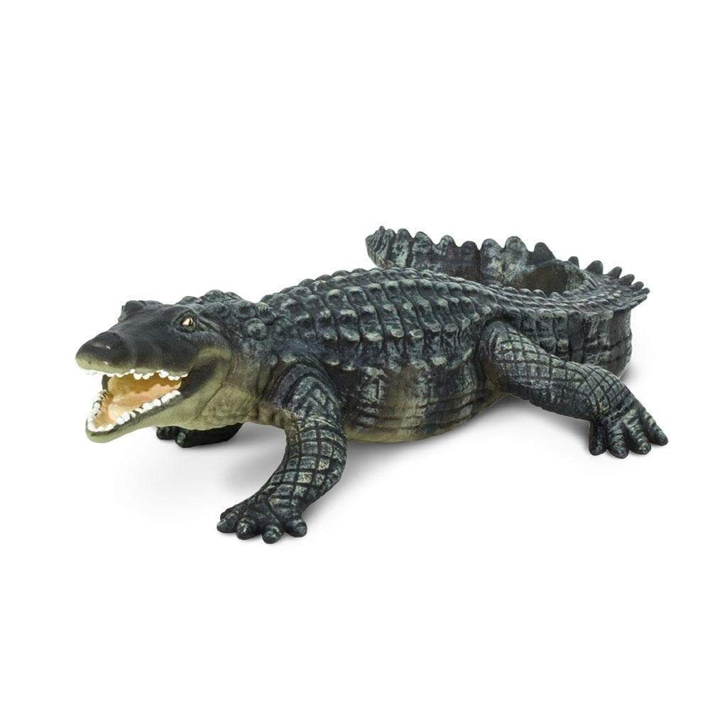 Safari - Crocodile