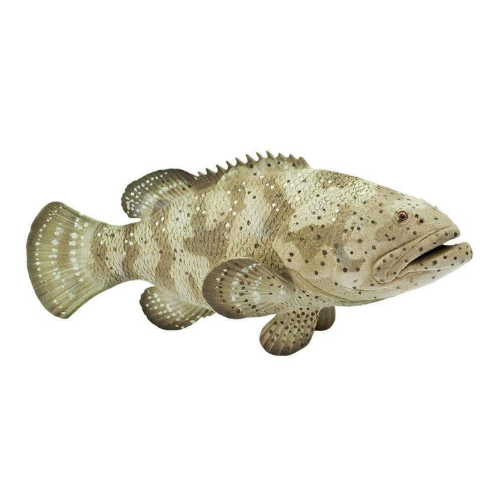 Safari - Goliath Grouper