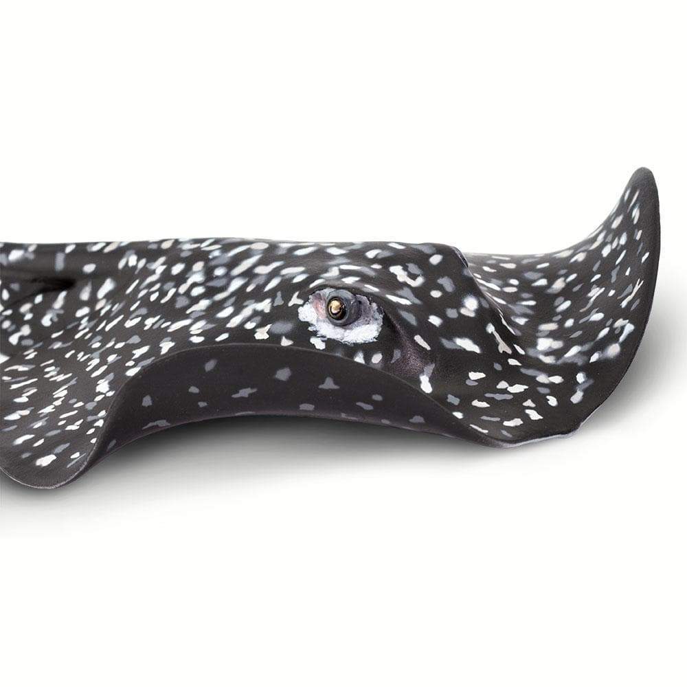 Safari - Marble Ray