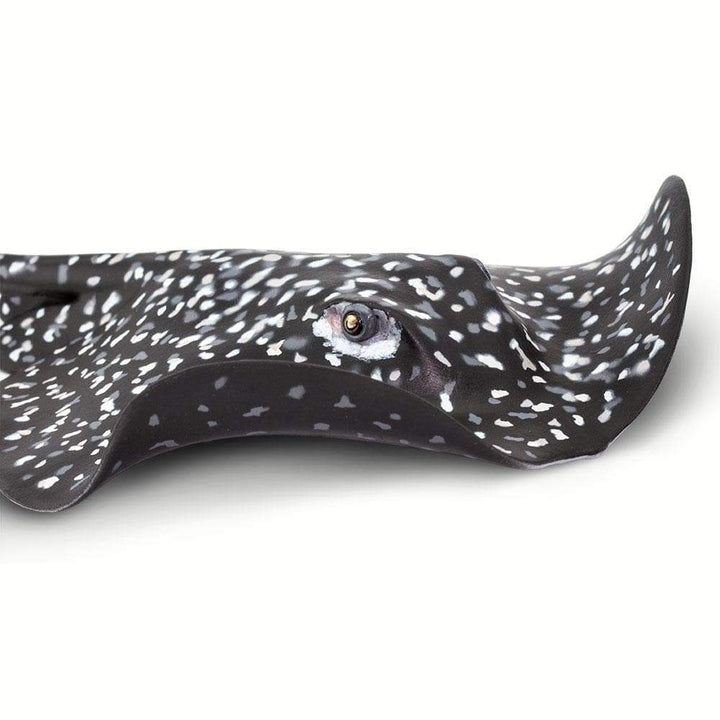 Safari - Marble Ray